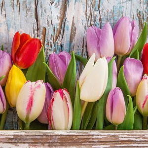 230314 фотопанно OVK