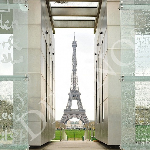 Фотопанно D-015 Вид на Эйфелевую башню 300*270 (Холст) на флизелиновой основе, Divino Decori