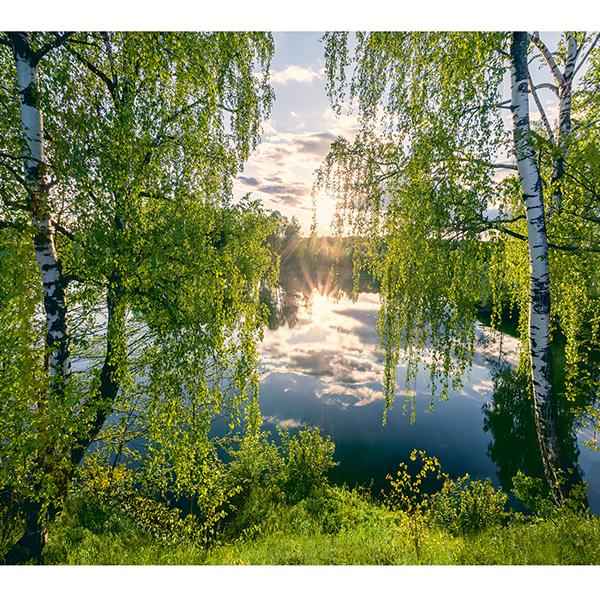 Фотообои бумажные 12л У озера 315 294*260 (10)