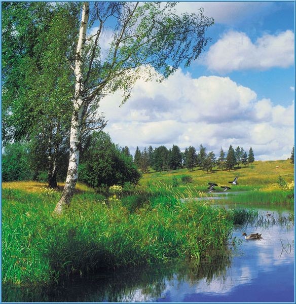 Фотообои бумажные 6л Русская природа 196*201 (10) №9