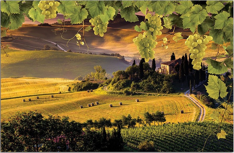 2331Р8 фотообои Соло 3,68*2,54м (4 части)