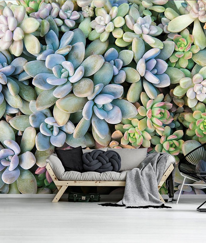 Фотообои 11757V8  Соло 3,68*2,54м (4 части)